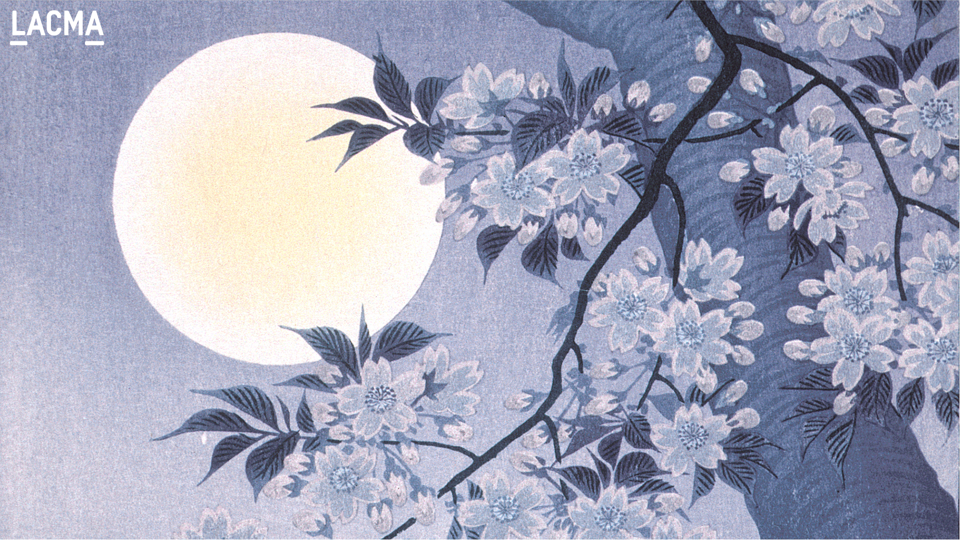 Blossoming Cherry on a Moonlit Night by Ohara Shōson (Japan, 1877-1945)
