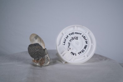 Patty Chang and David Kelley, S̶t̶r̶a̶y̶ D̶o̶g̶ Hydrophobia, 2023, © Patty Chang and David Kelley, photo courtesy of the artists