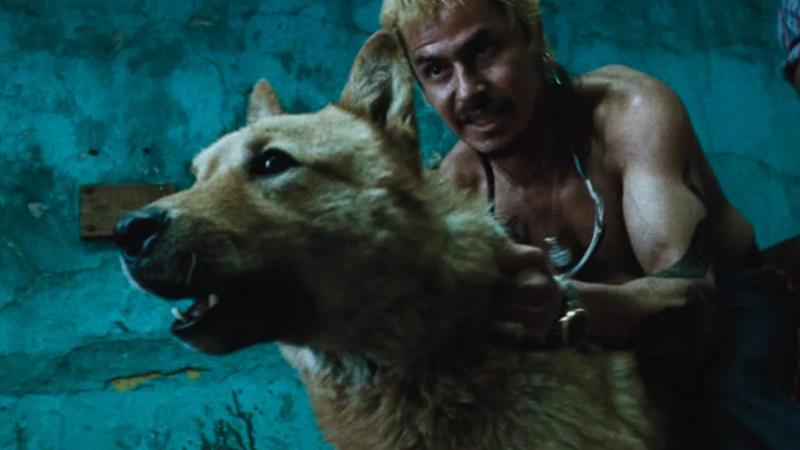 Courtesy of Alta Vista Films and MACK