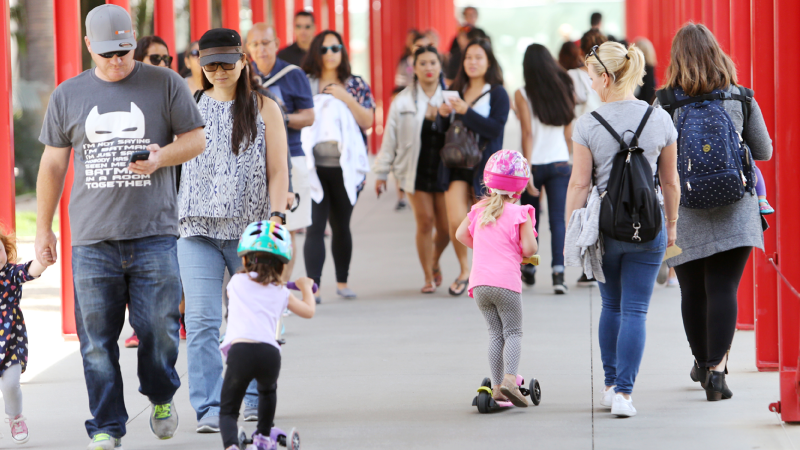 Photo © Museum Associates/LACMA, by Brant Brogan
