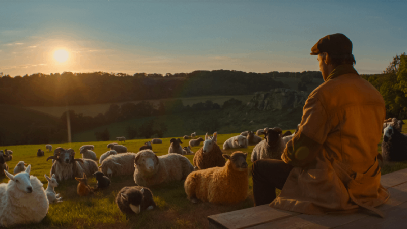 Exclusive Member Screening—The Sheep Detectives