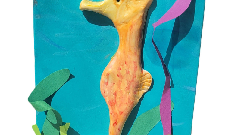 Arts and craft of sea horse