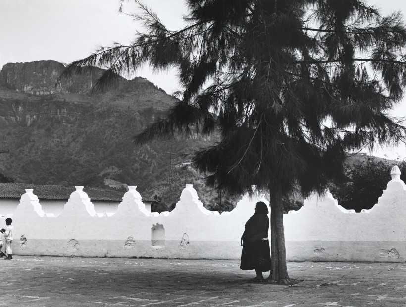 Image: Mariana Yampolsky, Espera, n.d.