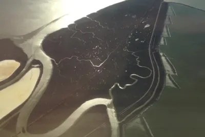 Branches Are Roots in the Sky: Screening and Artist Talk with Zheng Chongbin