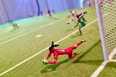 Fútbol Is Life: Animated Sportraits by Lyndon J. Barrois, Sr.