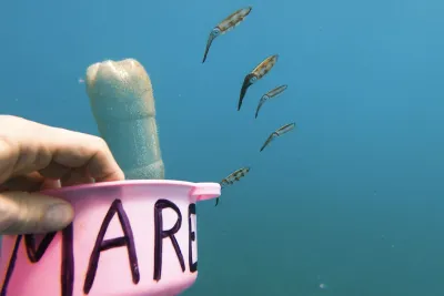 LACMA’s 2026 Art + Technology Lab Request for Proposals