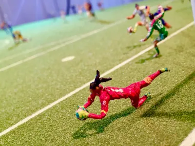 Fútbol Is Life: Animated Sportraits by Lyndon J. Barrois, Sr. 