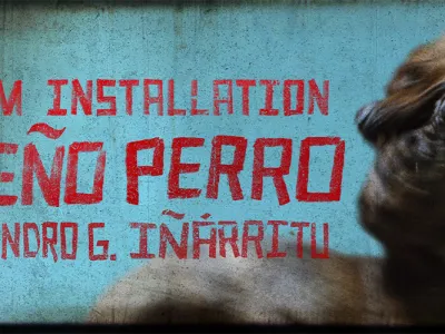 SUEÑO PERRO 