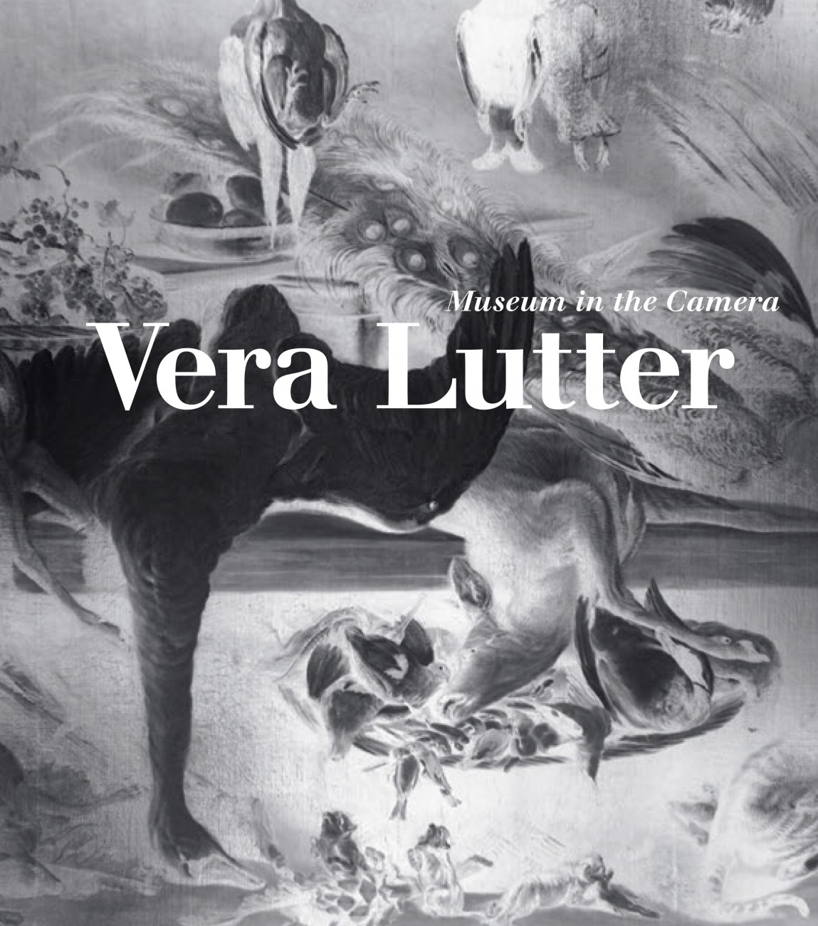 Vera Lutter: Museum in the Camera | LACMA