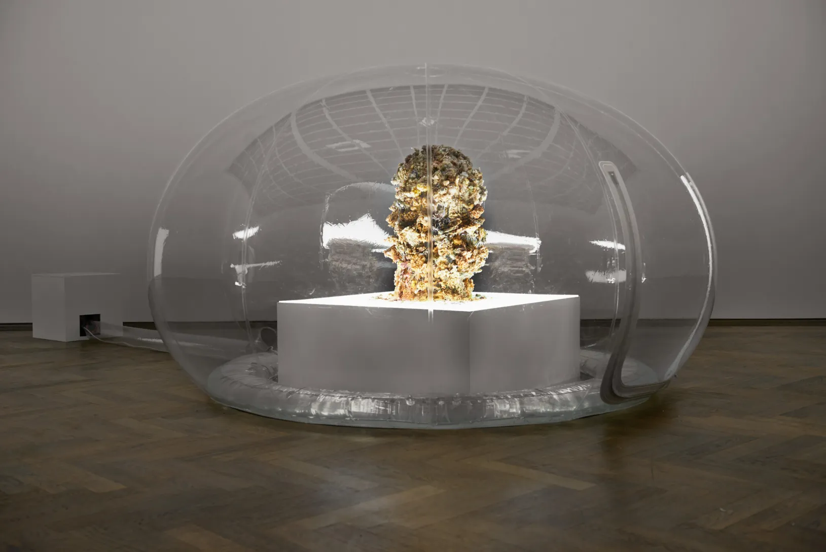 Inflatable transparent dome enclosing a white pedestal topped with a textured organic sculpture resembling clustered plant matter, illuminated from within.