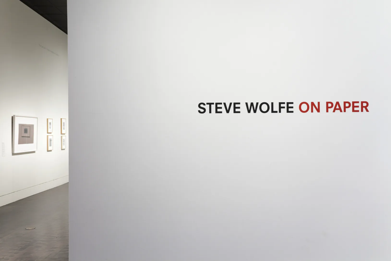 Install Shot: Steve Wolf