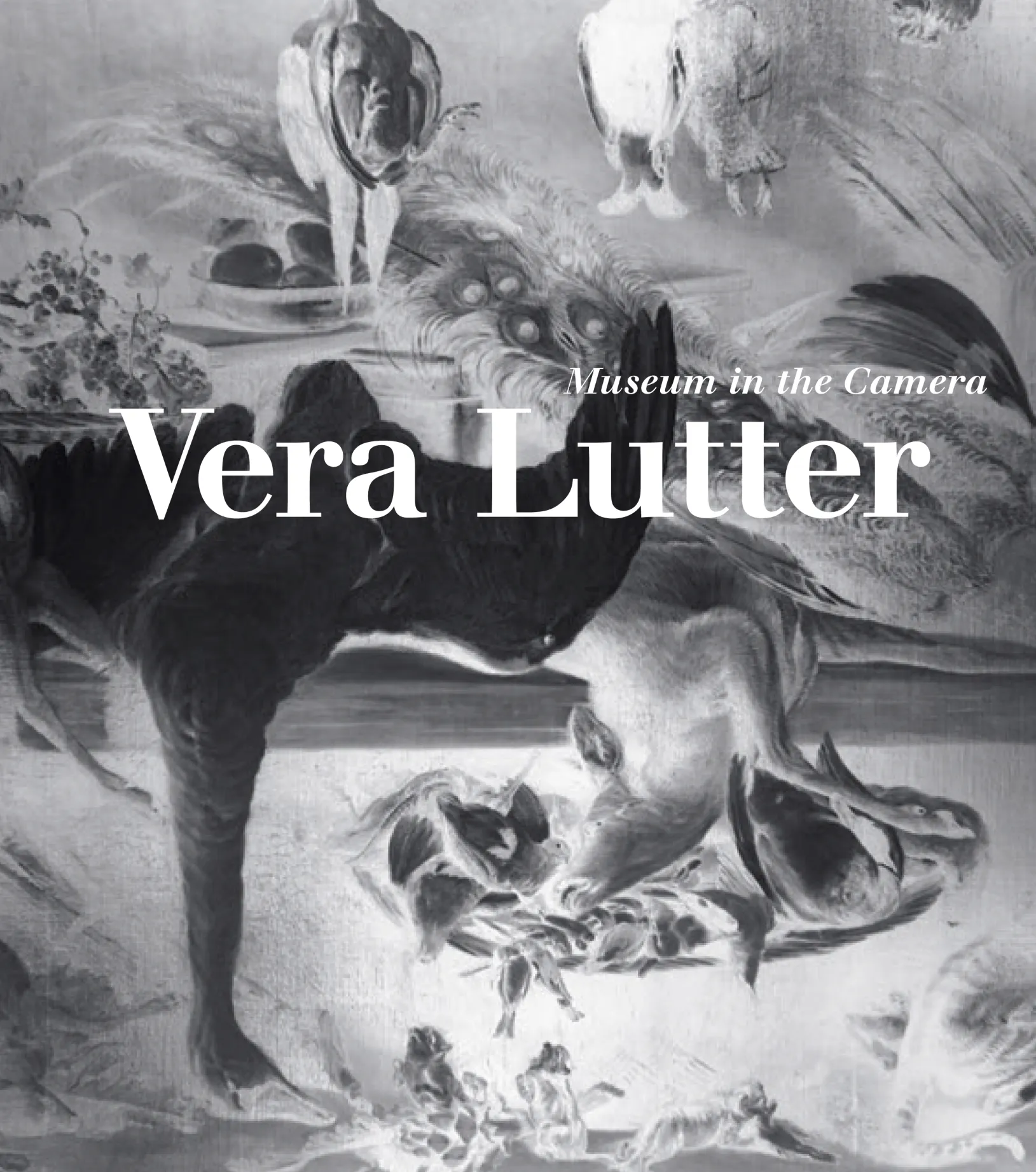 Vera Lutter: Museum In The Camera