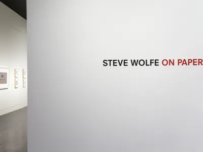 Install Shot: Steve Wolf
